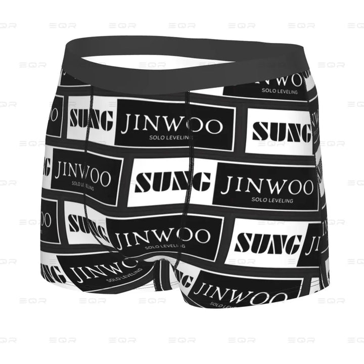 Solo Leveling Boxers: The complete guide for the low-key flex fan